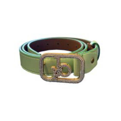 CINTURA GREEN FIBBIA GOLD BRILLANTINATA-L