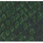 CINTURA GREEN/SNAKE CON FIBBIA LEOPARD SILVER-XL