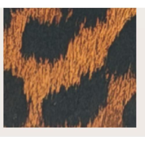 CINTURA LEOPARD FIBBIA LEOPARD PEWTER-L