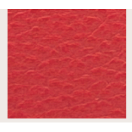 CINTURA RED/BLACK FIBBIA LEOPARD GOLD-XL