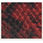 CINTURA RED/SNAKE FIBBIA LEOPARD GOLD-XL