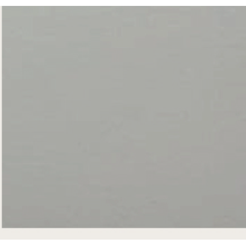 CINTURA WHITE/SNAKE CON FIBBIA LEOPARD SILVER-L