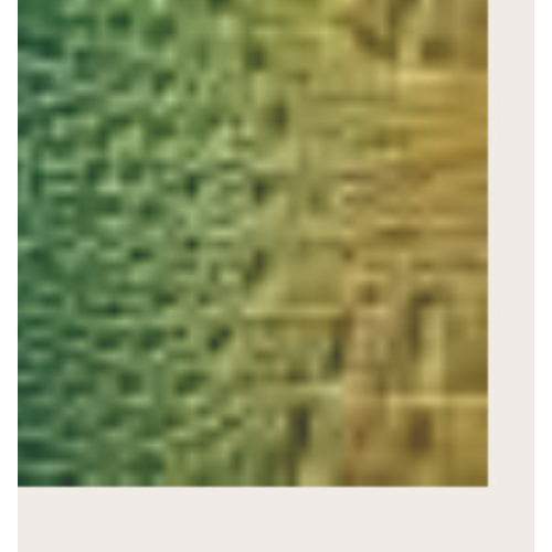 BORSA VALIGIA GREEN CRO