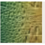 BORSA GREEN CRO CON TRACOLLA