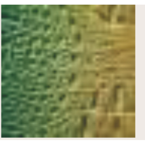 BORSA GREEN CRO CON TRACOLLA