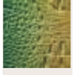 BORSA GREEN CRO MANICO AL CENTRO E TRACOLLA