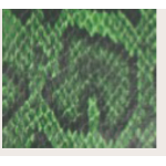 BORSA GREEN SNAKE CON CIONDOLI ORO E TRACOLLA