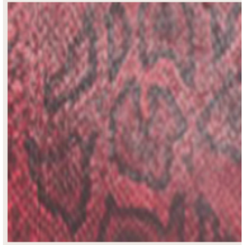 BORSA WINE SNAKE CON CIONDOLI ORO E TRACOLLA