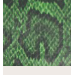 BORSA GREEN SNAKE CON MANICO MEZZA CATENA ORO E TRACOLLA