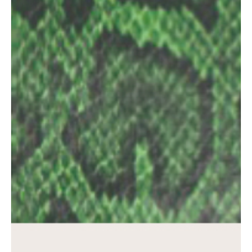 BORSA GREEN SNAKE CON MANICO MEZZA CATENA ORO E TRACOLLA