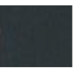 BORSA BLACK SNAKE CON CIONDOLI ORO