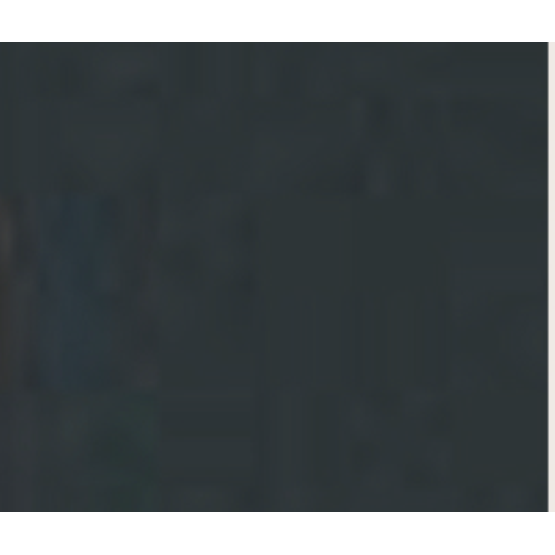 BORSA BLACK SNAKE CON CIONDOLI ORO