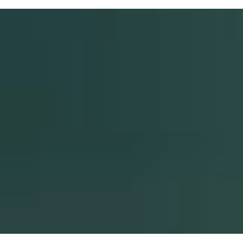 BORSA GREEN TRACOLLA A CATENA