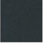 BORSABLACK  IN CAMOSCIO CON PELLICCIA