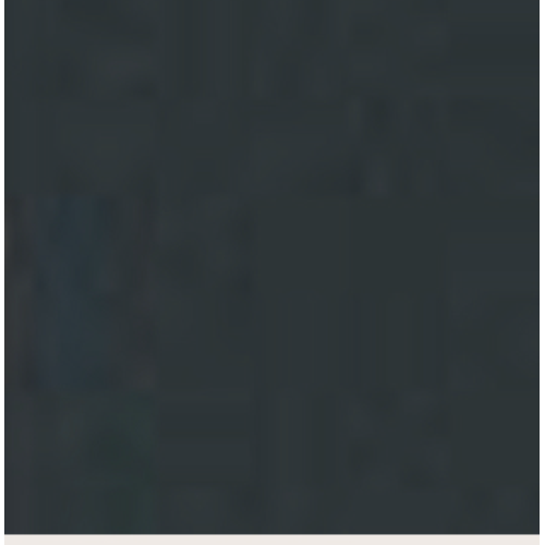 BORSABLACK  IN CAMOSCIO CON PELLICCIA