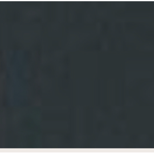 ZAINO BROWN CAMOSCIO BORDI IN PELLICCIA BEIGE