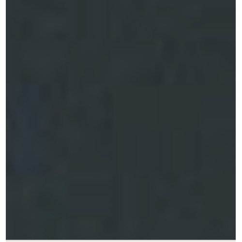 BORSA GREEN CON BORDO IN PELLICCIA