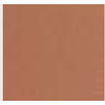 BORSA BROWN CON CINTURINO AVANTI E PELLICCIA BEIGE INTERNA