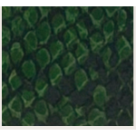 PORTAFOGLIO GREEN/SNAKE  CON TARGA LEATHER