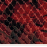 PORTAFOGLIO WINE/SNAKE  CON TARGA LEATHER