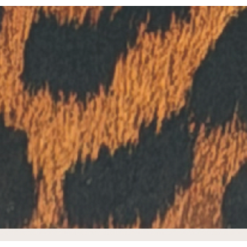 CINTURA LEOPARD RB ORRIZZONTALE FIBBIA GOLD-XL