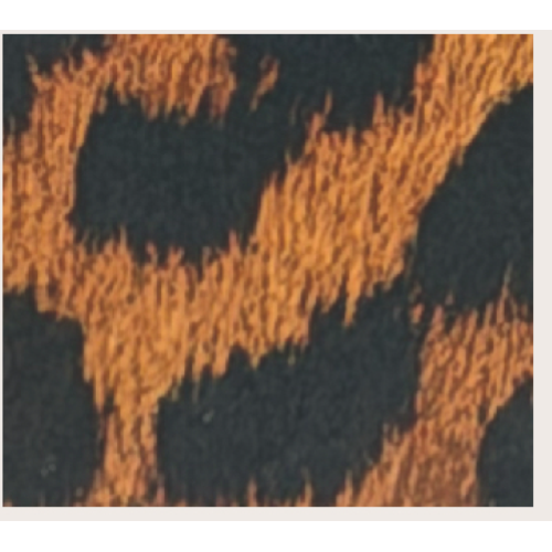 PORTAFOGLIO LEOPARD RB IN CERCHIO