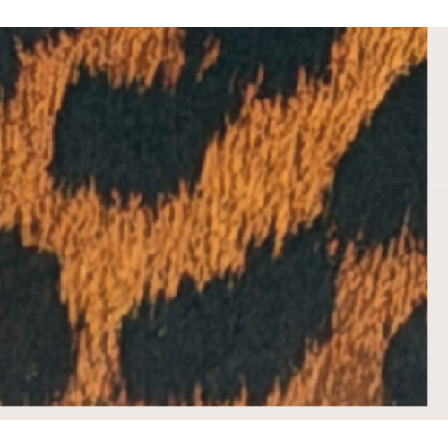 PORTAFOGLIO LEOPARD TARGA RETTANGOLARE ORO