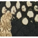 PORTAFOGLIO BROWN/SNAKE TARGA RETTANGOLARE ORO