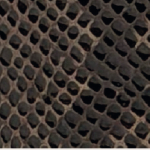 PORTAFOGLIO DARK BROWN SNAKE TARGA RETTANGOLARE ORO