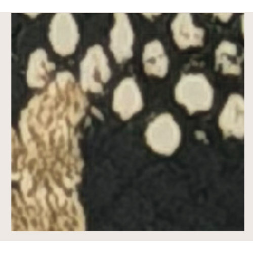 PORTAFOGLIO BROWN SNAKE RB IN CERCHIO