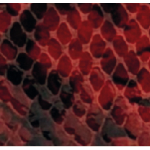 PORTAFOGLIO RED SNAKE RB IN CERCHIO