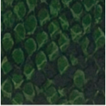 PORTAFOGLIO GREEN SNAKE RB IN CERCHIO