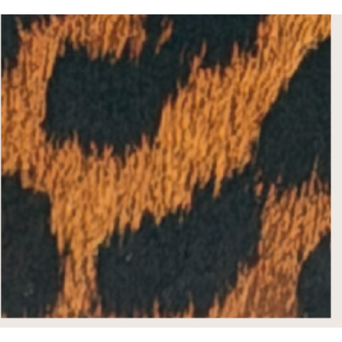 PORTAFOGLIO LEOPARD RB IN CERCHIO