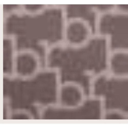 BORSA COOFFEE/BEIGE PRINTING CINTURINO DAVANTI-LEATHER