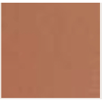 CINTURA BROWN  FIBBIA LEOPARD GOLD NO RB-L