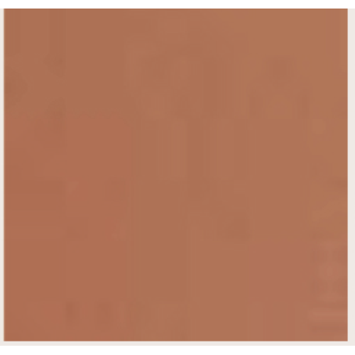 CINTURA BROWN  FIBBIA LEOPARD GOLD NO RB-XXL