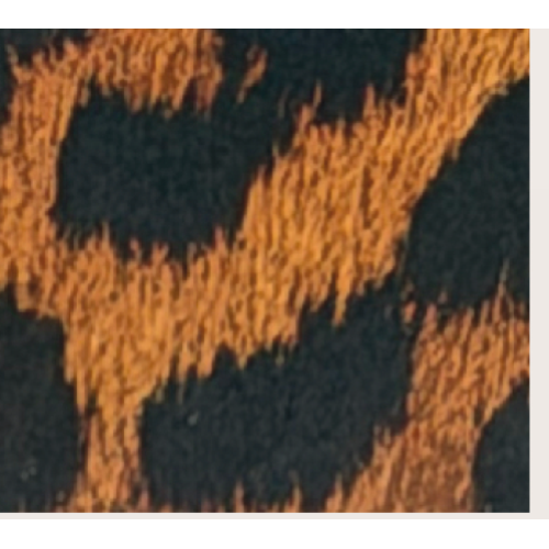 PORTAFOGLIO LEOPARD RB IN CERCHIO