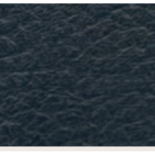 PORTAFOGLIO BLUE CON ANELLO ORO