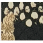 PORTAFOGLIO BROWN/SNAKE CON MANICA