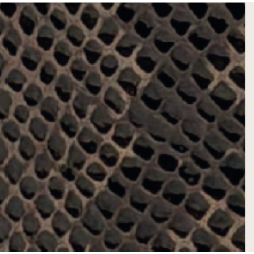 PORTAFOGLIO DARK BROWN SNAKE CON MANICA