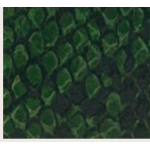 PORTAFOGLIO GREEN SNAKE CON MANICA