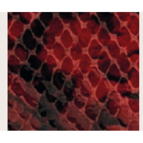 PORTAFOGLIO WINE SNAKE LEATHER