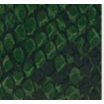 PORTAFOGLIO GREEN SNAKE LEATHER