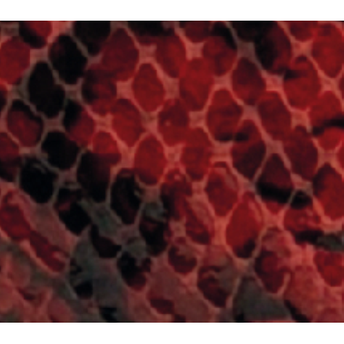 PORTAFOGLIO WINE SNAKE  RB IN CERCHIO