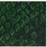 PORTAFOGLIO GREEN SNAKE  RB IN CERCHIO