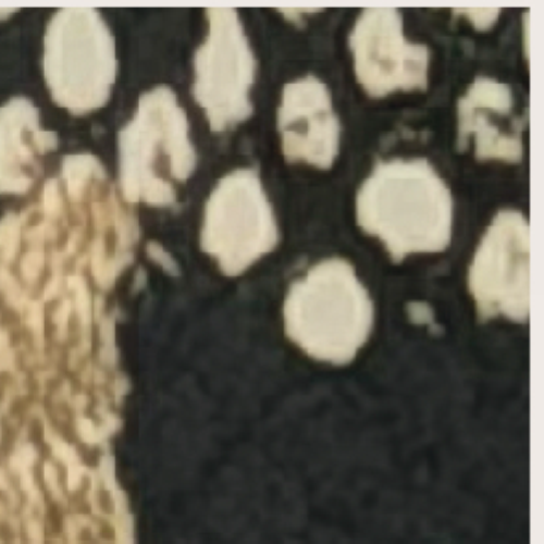 PORTAFOGLIO BROWN SNAKE TARGA RETTANGOLARE ORO